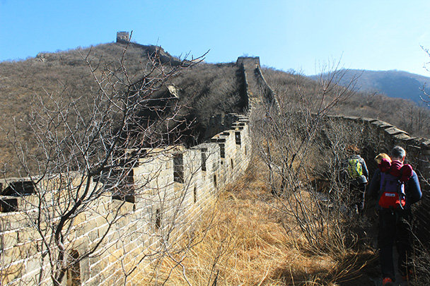 Trees and grass are taking over this part of the wall - Chinese Knot Great Wall, 2018/03/10