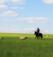 A local horseman