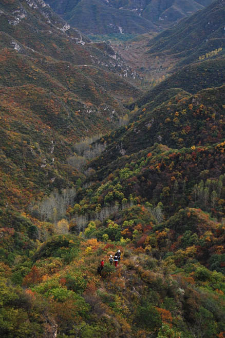 a forested valley, Beijing Hikers Zhenbiancheng Great Wall, October04,2012