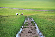 A horse-and-carriage track through the wide grassland