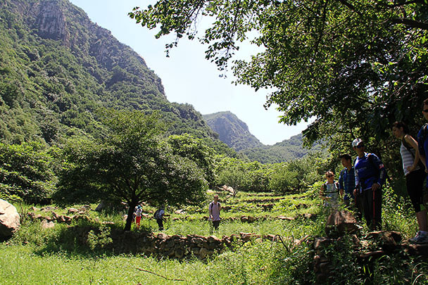 Overgrown fields and terrace ,Beijing Hikers The Great Flood hike 2013/07/28