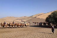 Camels and sand dunes at Crescent Lake, Beijing Hiker’s Journey from the West, 2013/10