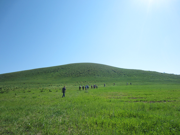 We started our first hike with a walk beside a field of buckwheat -  Bashang Grasslands trip, 2014/7
