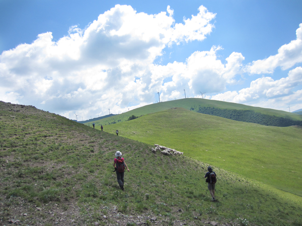 We hiked through the hills, meeting a flock of sheep on the way -  Bashang Grasslands trip, 2014/7