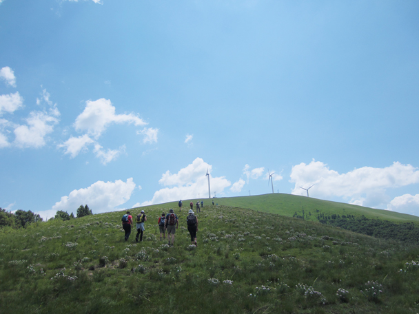 We kept walking up the ridgeline, aiming for a high point -  Bashang Grasslands trip, 2014/7