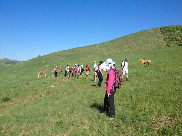Some horses got themselves mixed up with hikers, with two ponies trying to get back to their mother - Bashang Grasslands trip, 2014/06