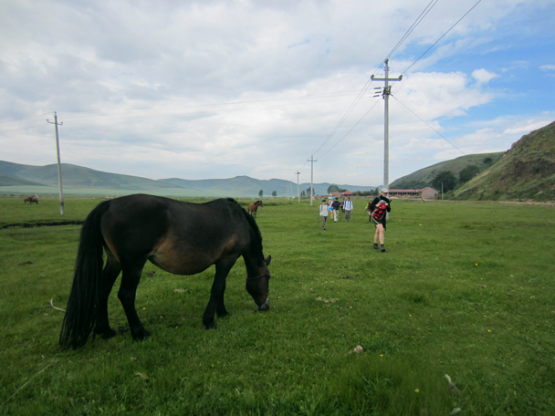 We hiked past a village, and this elegant horse with a very long tail - Bashang Grasslands trip, August 2014