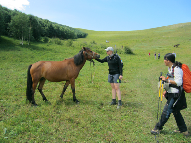 We hiked past another friendly horse - Bashang Grasslands trip, August 2014