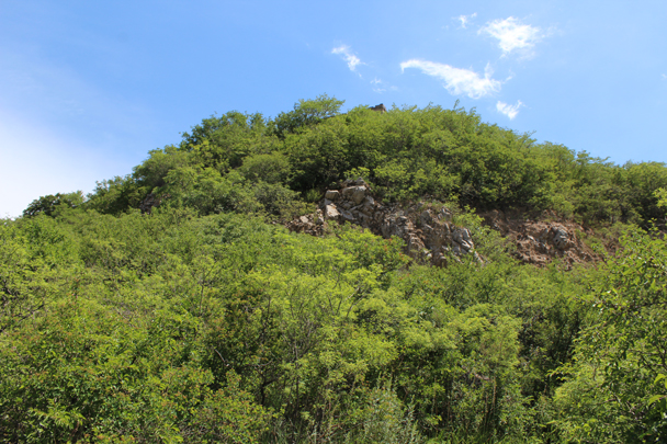 Lots of greenery during the summer can make it hard to see the wall initially - Middle Switchback Great Wall, 2015/06/07