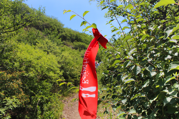 Follow our lead and our ribbons! - Middle Switchback Great Wall, 2015/06/07