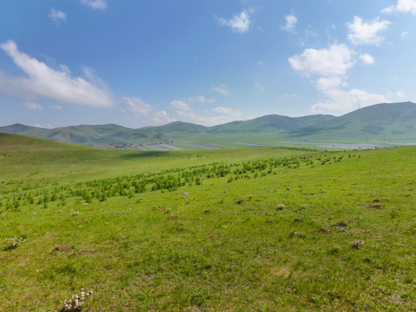 Blue skies and endless pastures give the are a very special feel - Bashang Grasslands, Hebei Province, 2015/06