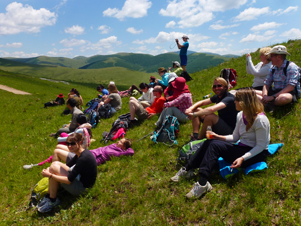 One very happy group - Bashang Grasslands, Hebei Province, 2015/06