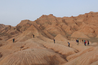 Along the Silk Road from Korla to Kashgar, 2015/09