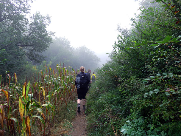 We passed by a corn field - Camping at the Gubeikou Great Wall, 2015/10