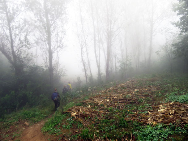 Hiking in the morning mist - Camping at the Gubeikou Great Wall, 2015/10