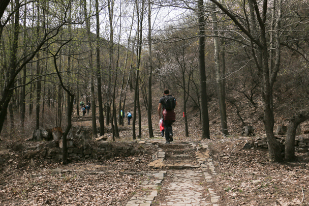 We hiked further into the forest - Stone Valley Great Wall Loop, 2016/4/16