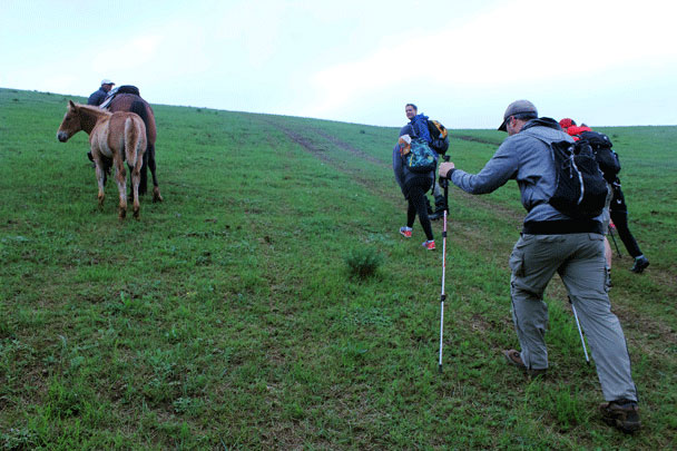 We went for a shorter hike on the last day of the trip – we were a bit sore from the previous day! - Bashang Grasslands trip, July 2016