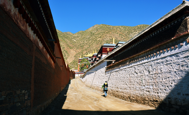 We headed over to check out the temple’s school of medicine - Xiahe, Labrang Monastery, and the Zhagana area in southern Gansu, September 2016