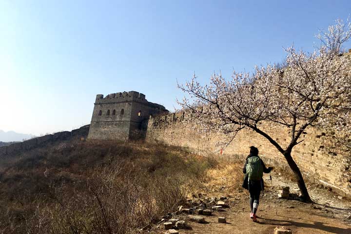Camping Gubeikou Great Wall and Jinshanling Great Wall, 2019/04/06 photo #23