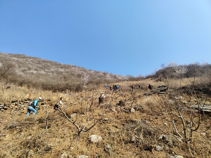 Great Wall Spur, 2023/03/19 photo #6