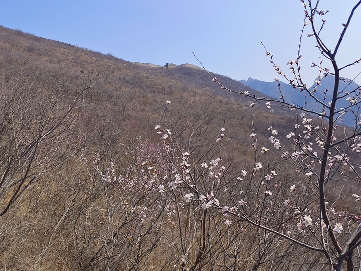 Great Wall Spur, 2023/03/19 photo #13