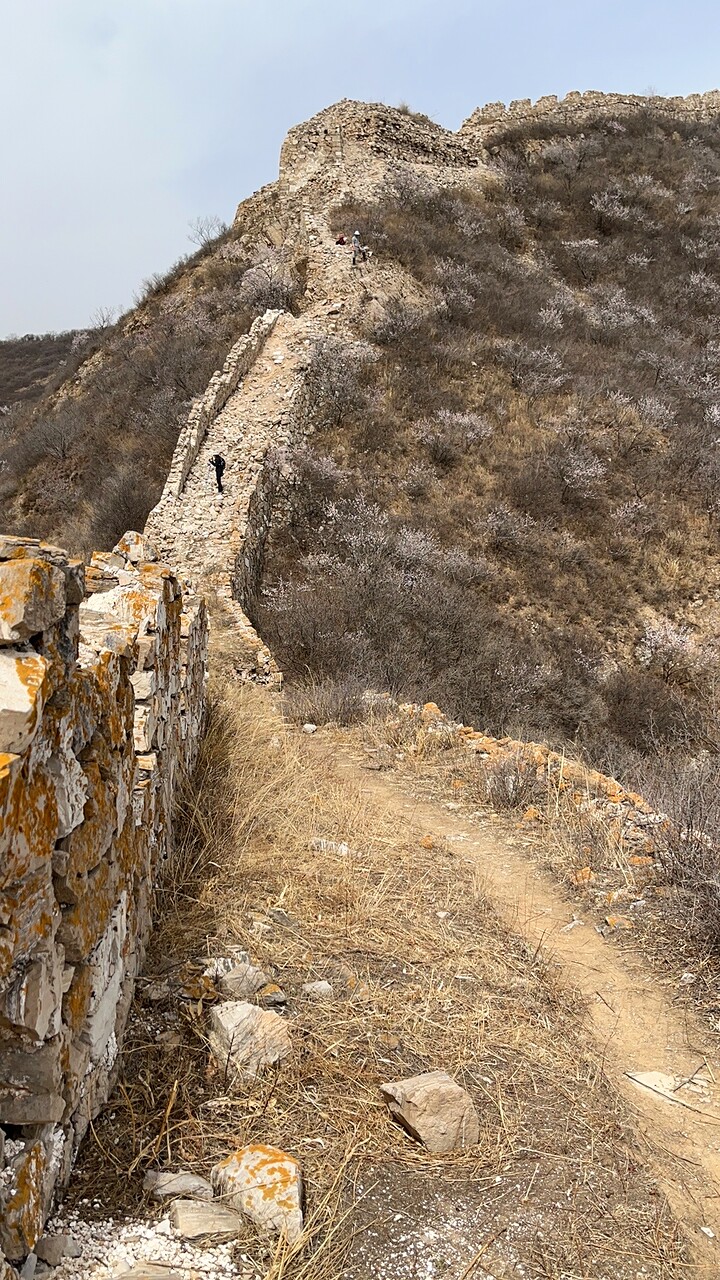Zhenbiancheng Great Wall Loop, 2023/04/09 photo #14