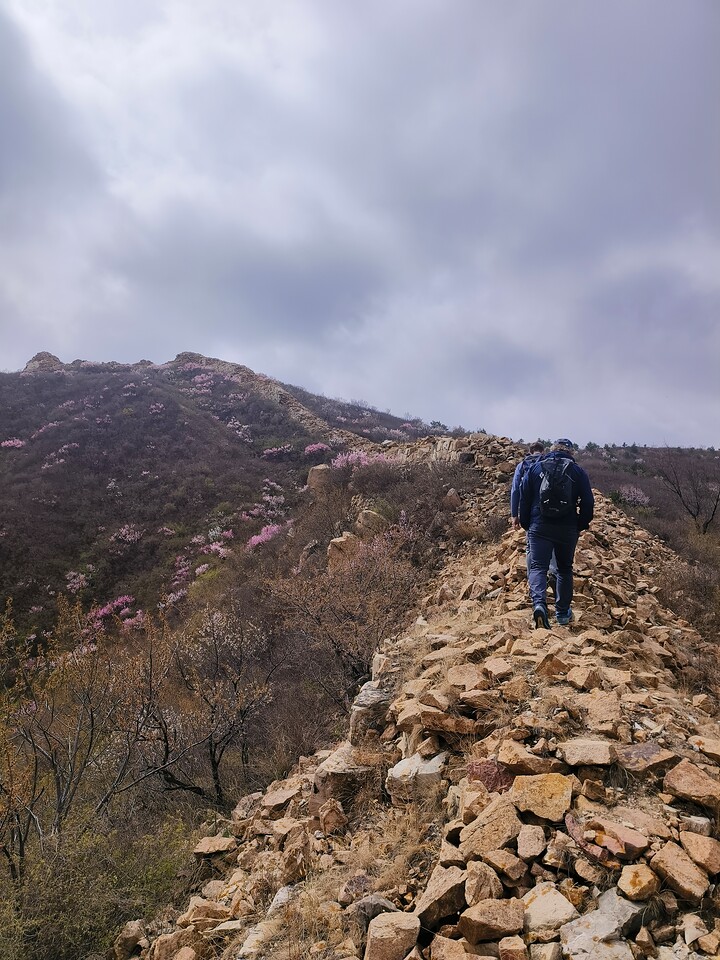 Yanqing Great Wall and Hengling Village, 2023/04/22 photo #3