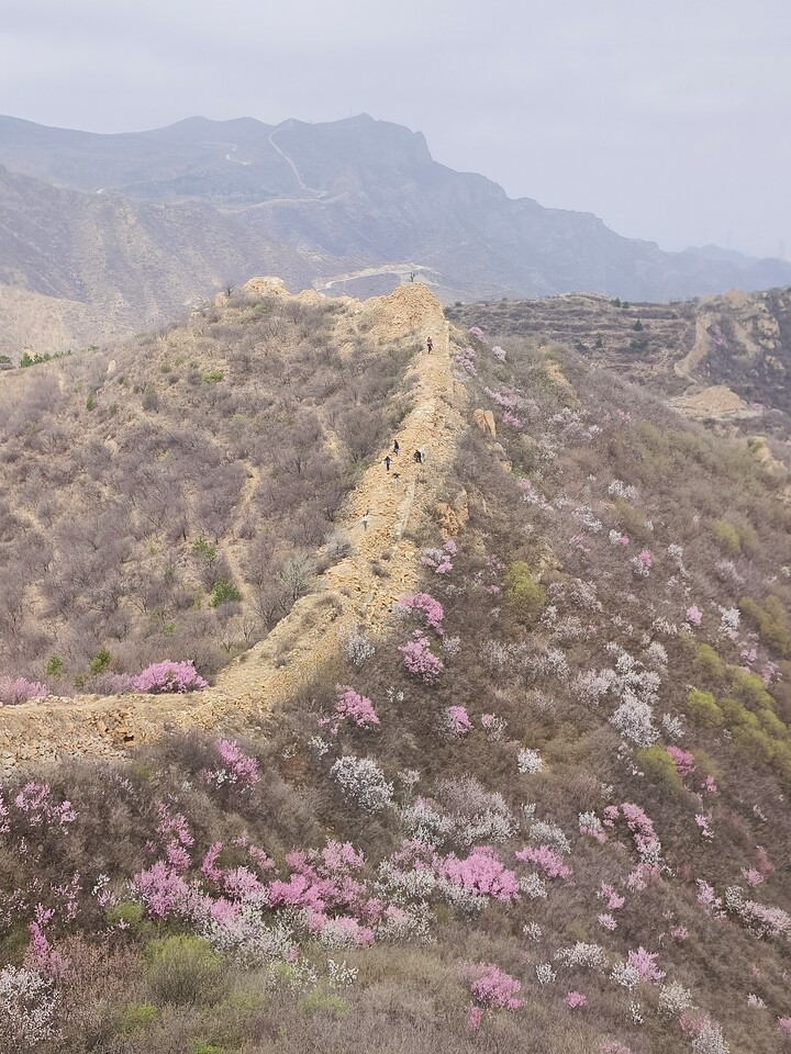 Yanqing Great Wall and Hengling Village, 2023/04/22 photo #4