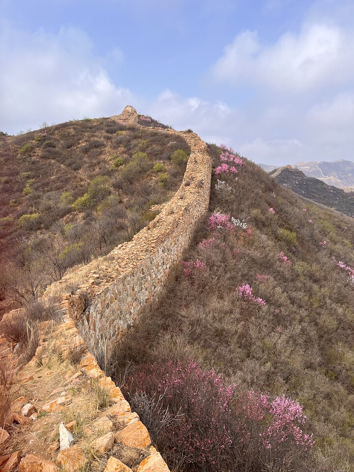 Yanqing Great Wall and Hengling Village, 2023/04/22 photo #8