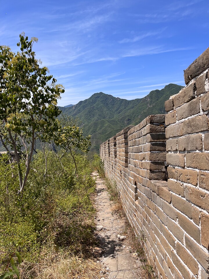 Great Wall Spur, 2023/05/04 photo #9