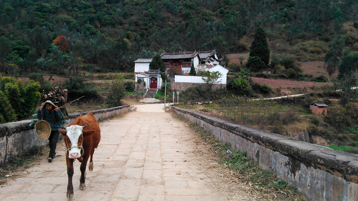 In a farming village