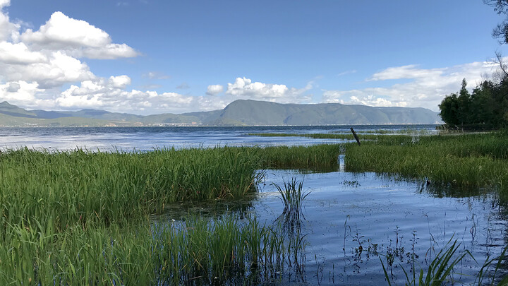 On the shore of Erhai Lake