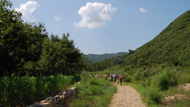 Hikers walking towards green hills