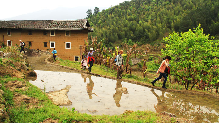 Hiking through paddyfields near the tulou