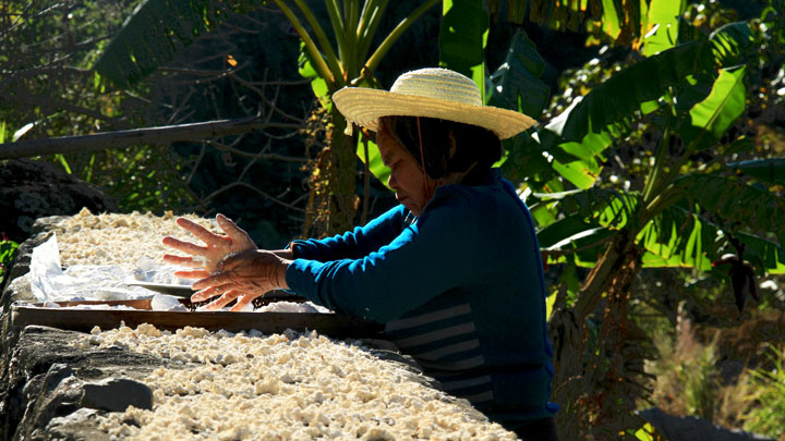 A Hakka matron preparing crushed yams for drying