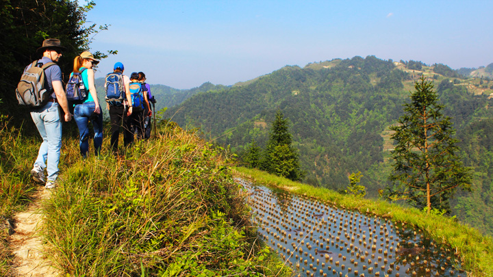 Hiking by a rice paddy on a terraced slope