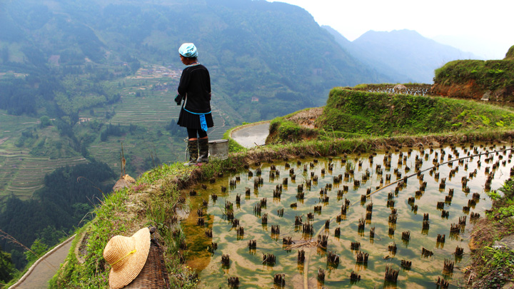 A farmer looks out over a deep valley terraced with rice paddies