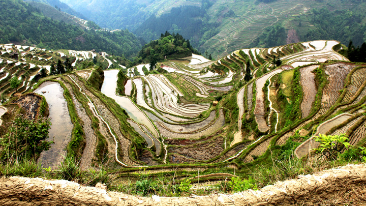 The Jiabang rice terraces