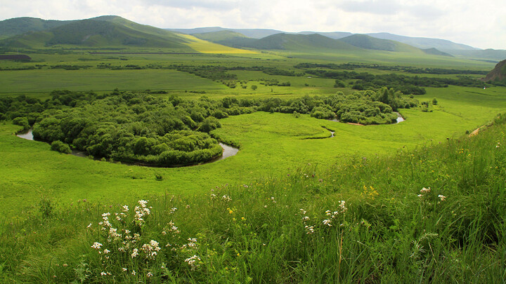 The E&rsquo;erguna Wetlands