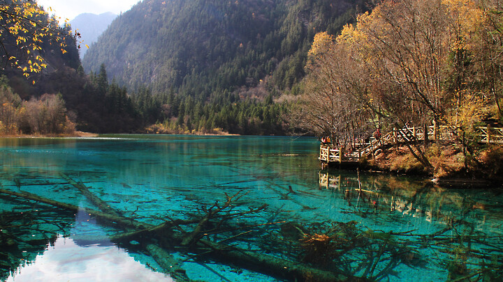 A boardwalk by the turquoise water of Five Flowers Lake in Jiuzhaigou