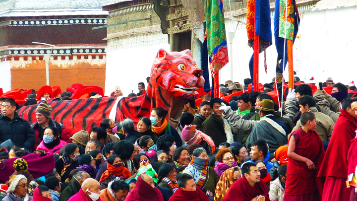 A tiger is carried through a crowd in Xiahe