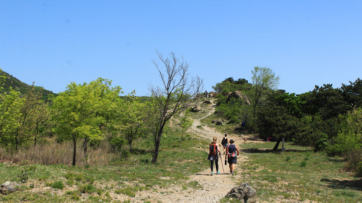 A broad trail on a wide plateau