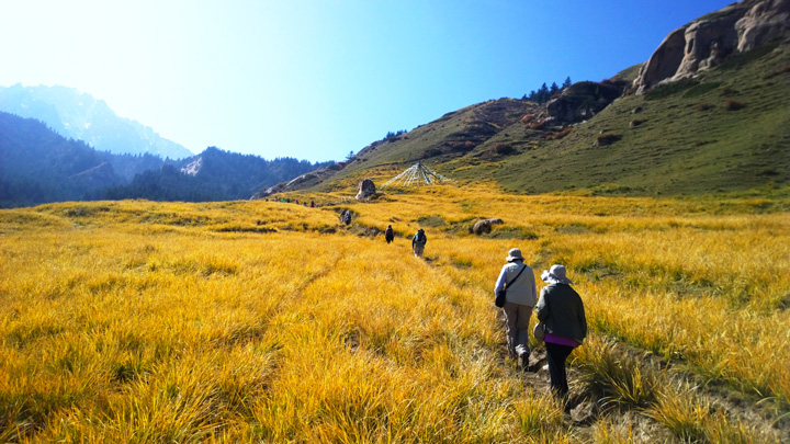 Alpine meadows and the Qilian Mountains, Zhangye