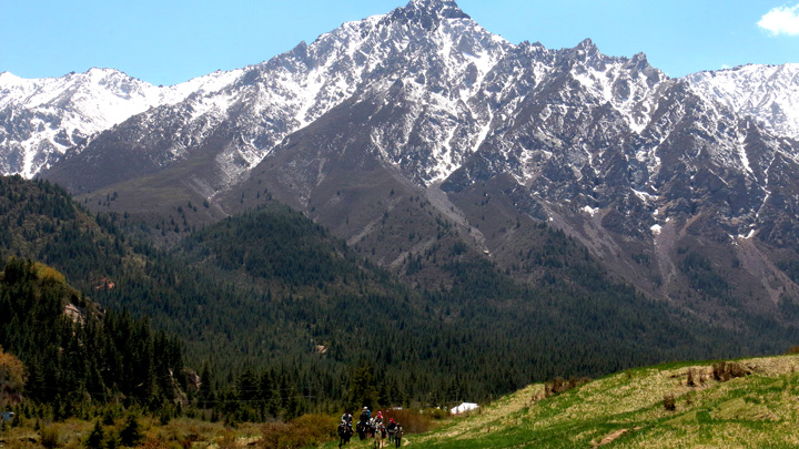 Alpine meadows and the Qilian Mountains, Zhangye