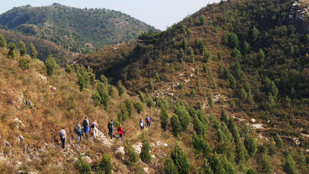 Rolling Hills | Hiking a narrow hillside trail