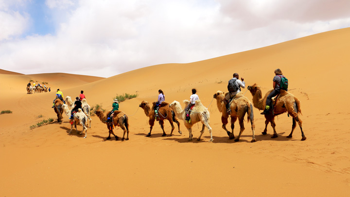 Riding camels through the Tengger Desert
