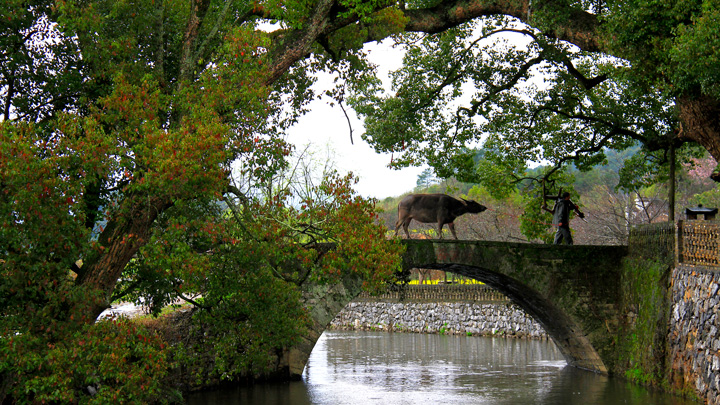 A bridge spans a river that runs through a village