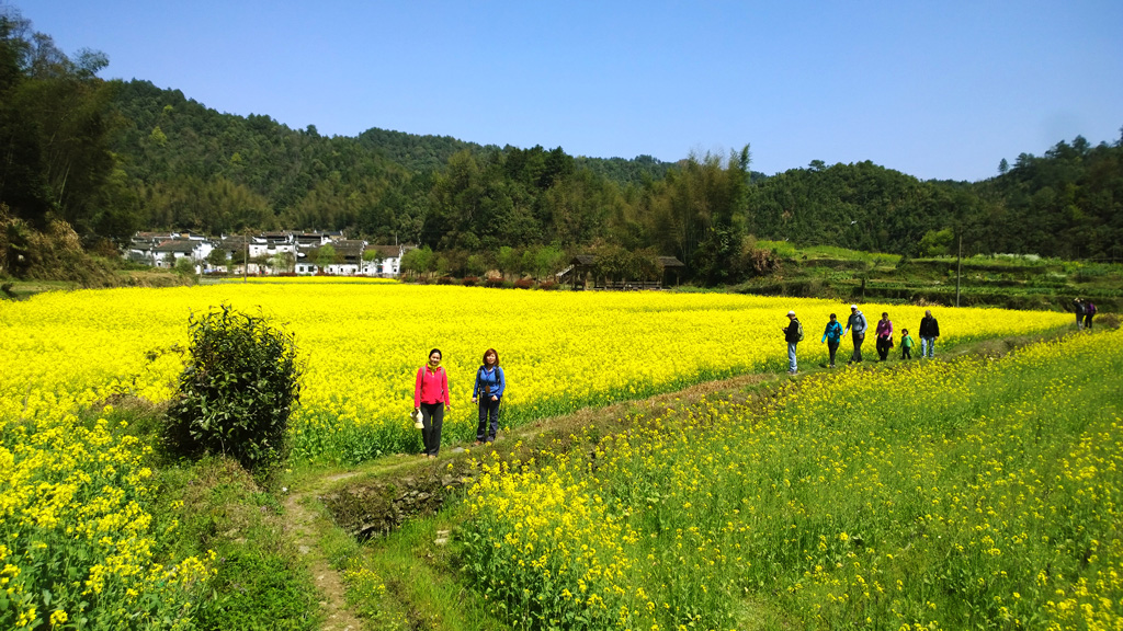 Wuyuan, Jiangxi Province | Hiking through fields of flowers near a village