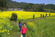 Wuyuan, Jiangxi Province, 2016/03